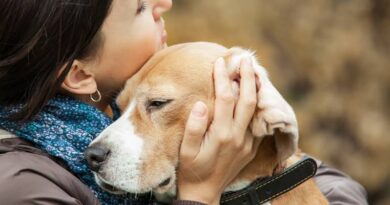 How Does Your Dog Know What You are Feeling?