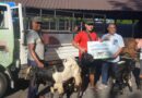 Pelindo Pelabuhan Benoa Salurkan 7 Sapi dan 15 Kambing Hewan Kurban 1446 H