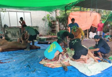 Peringatan Hari Raya Idul Adha 1446 Hijriah, LDII Bali Salurkan 10 Ribu Lebih Paket Daging Kurban