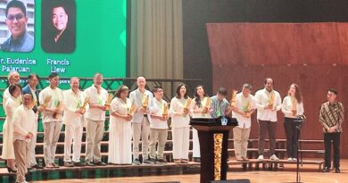 Penampilan Tim dari Korea Selatan