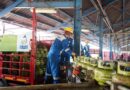 Siaga Long Weekend Hari Raya Idul Adha, Pertamina Patra Niaga Tambah 212 Ribu Tabung LPG 3 Kg di Bali