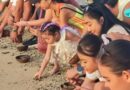 Peringati “World Turtle Day 2026”, The Meru Lepas Puluhan Tukik ke Pantai Sanur