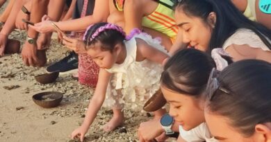 Peringati “World Turtle Day 2026”, The Meru Lepas Puluhan Tukik ke Pantai Sanur Peringati “World Turtle Day 2026”, The Meru Lepas Puluhan Tukik ke Pantai Sanur