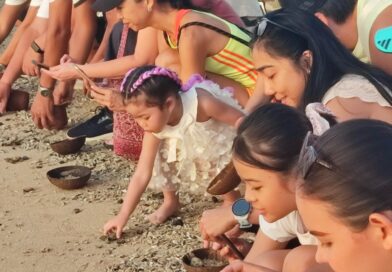 Peringati “World Turtle Day 2026”, The Meru Lepas Puluhan Tukik ke Pantai Sanur Peringati “World Turtle Day 2026”, The Meru Lepas Puluhan Tukik ke Pantai Sanur