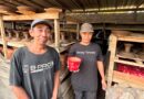 Usaha Gerabah Warisan Leluhur Tetap Lestari, KUR BRI Perkuat Perajin Menjaga Tradisi Pengabenan Bali Usaha Gerabah Warisan Leluhur Tetap Lestari, KUR BRI Perkuat Perajin Menjaga Tradisi Pengabenan Bali
