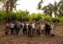 Nuanu dan Bali Tourism Board Dukung Reforestasi Batukaru dengan Pendanaan Pemeliharaan Selama Satu Tahun Nuanu dan Bali Tourism Board Dukung Reforestasi Batukaru dengan Pendanaan Pemeliharaan Selama Satu Tahun