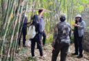 BLC Berkolaborasi dengan Yayasan Kehati Lakukan Bioprospeksi Bambu Tabah BLC Berkolaborasi dengan Yayasan Kehati Lakukan Bioprospeksi Bambu Tabah