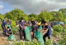 Jelang Tumpek Wayang, Pemprov Bali Gelar Aksi Bersih Sampah Serentak, Kumpulkan 3,56 Ton Sampah di Mangrove Pesanggaran Jelang Tumpek Wayang, Pemprov Bali Gelar Aksi Bersih Sampah Serentak, Kumpulkan 3,56 Ton Sampah di Mangrove Pesanggaran